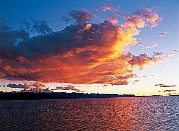 《吸血鬼：避世血族-血猎》官方PC配置需求公布