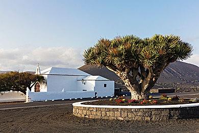 恋爱养成《魔法使之夜》2022年登陆NS和PS4平台