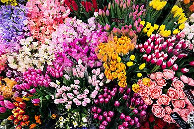 国产《西游琉璃盏》今日正式上线 Steam多半好评